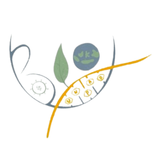 Graduate Position (M.Sc) in Plant Microbiome