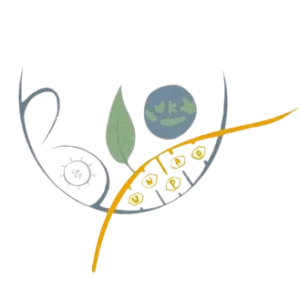 Graduate Position (M.Sc) in Plant Microbiome
