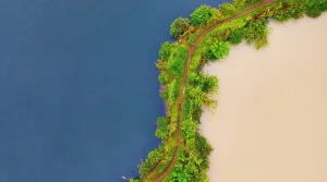2026 Cornell Atkinson Postdoctoral Fellowships in Sustainability