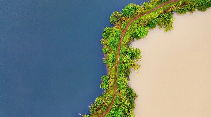 Cornell Atkinson Center for Sustanability 2025