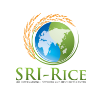 SRI-Rice